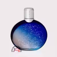 عطر ادکلن ون کلیف اند آرپلز میدنایت | van cleef and arpels midnight