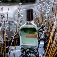 عطر ادکلن اورتو پاریسی مگامار(مگاماره) اصل | Orto Parisi Megamare 50ml