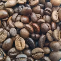 قهوه دان میکس 70/30 (یک کیلو) | amazonchi