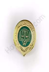 بج سینه مرکز وکلا (سبز)