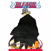 Bleach v06