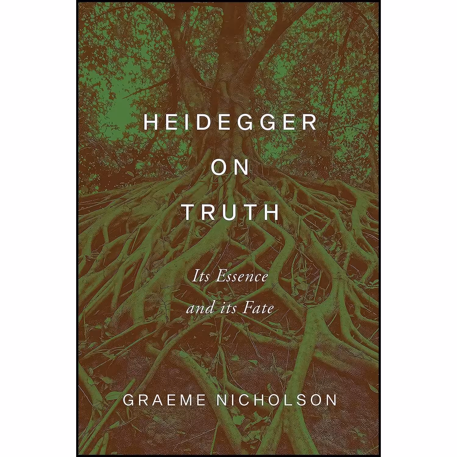 کتاب زبان اصلی Heidegger on Truth اثر Graeme Nicholson