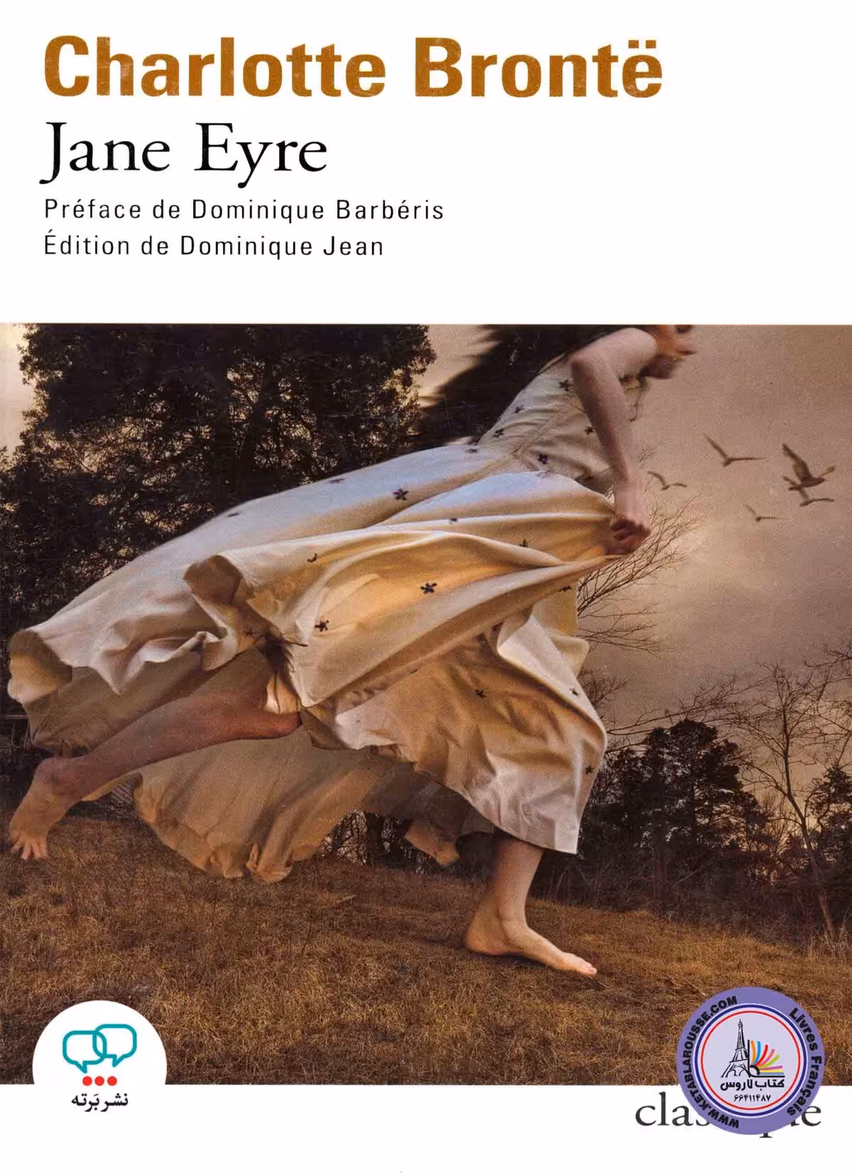 رمان فرانسوی Jane Eyre