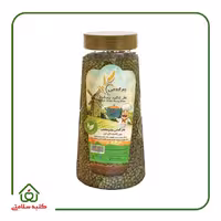 ماش چتر گندمی