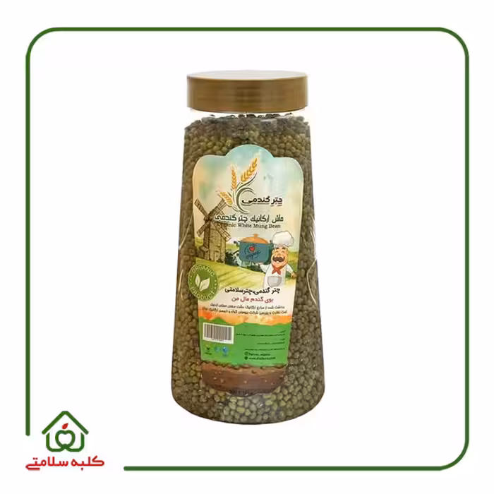 ماش چتر گندمی