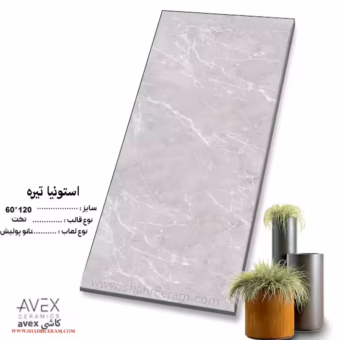 سرامیک استونیا تیره 120*60 کاشی اوکس avex