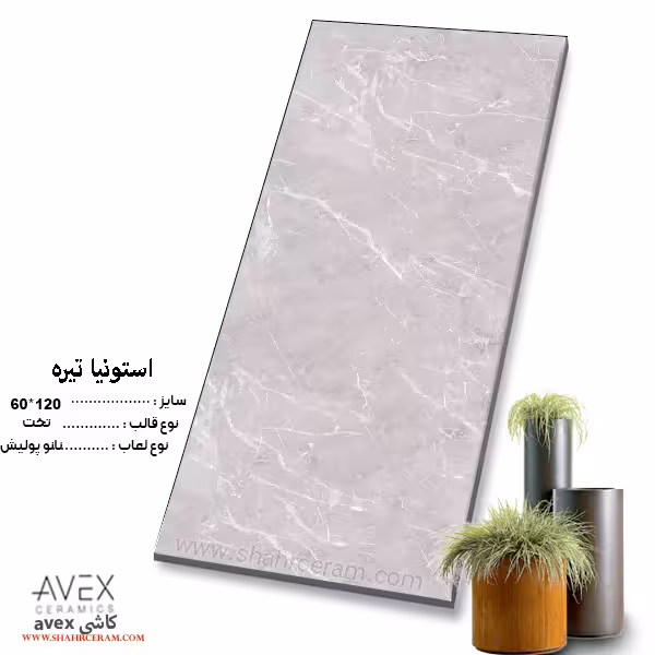 سرامیک استونیا تیره 120*60 کاشی اوکس avex
