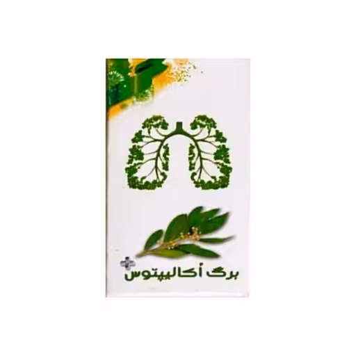 سیگار برگ اکالیپتوس( ده عددی)