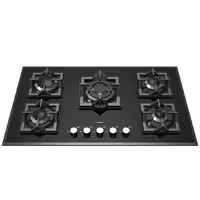 گاز صفحه ای رابیتس RG-563P