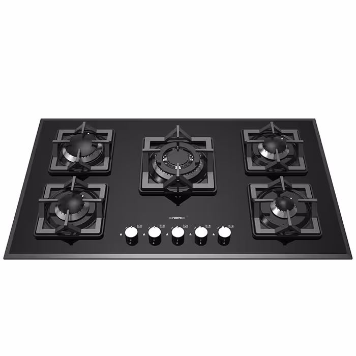 گاز صفحه ای رابیتس RG-563P