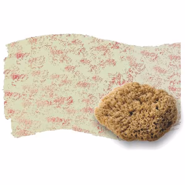 اسفنج دریایی طبیعی مخصوص پتینه