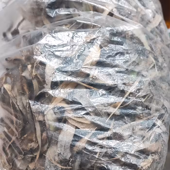 برگ بید خشک شده درجه 3