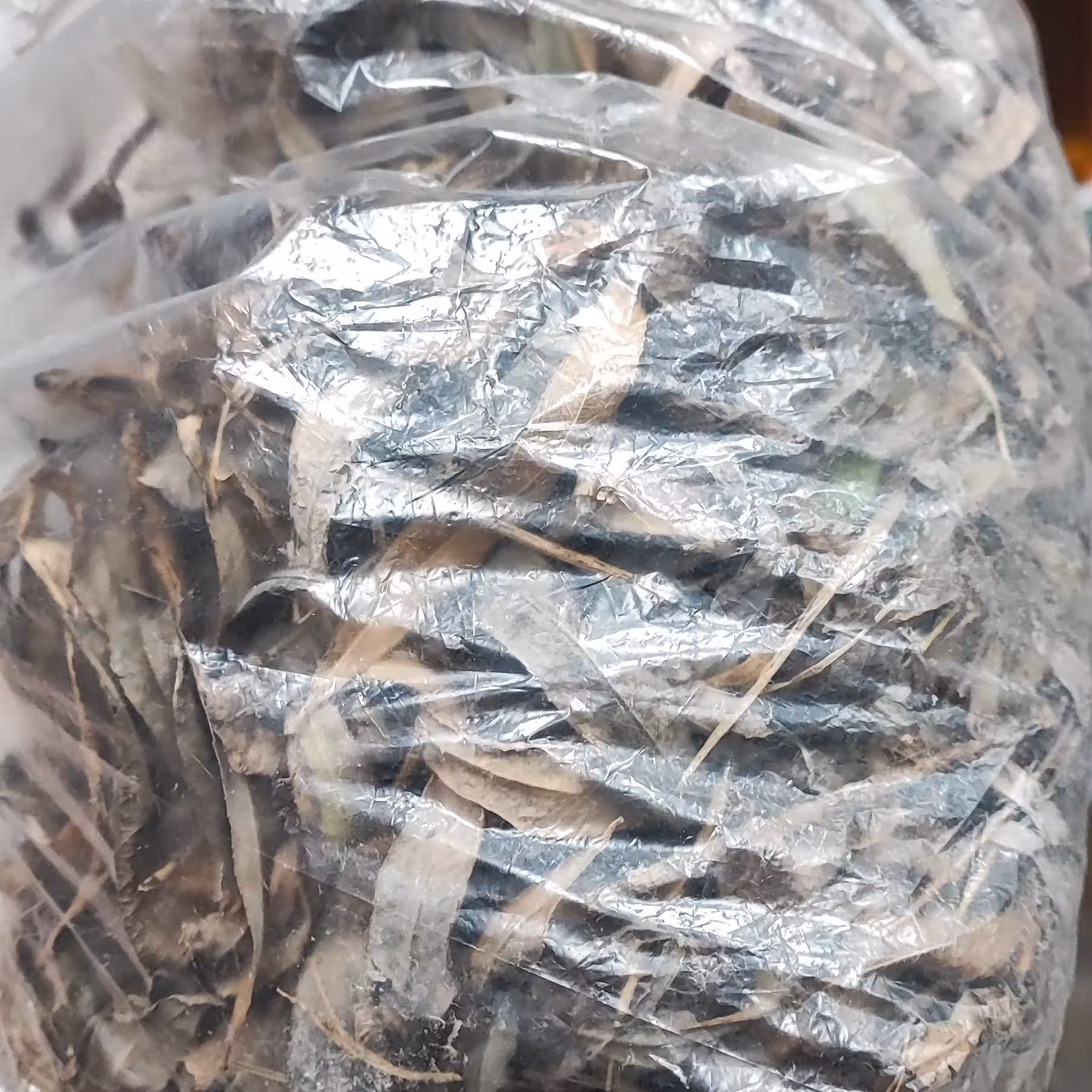 برگ بید خشک شده درجه 3