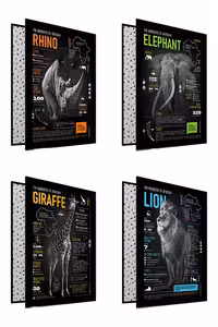 کلاسور 26 حلقه 100 برگ آفریقا پیل