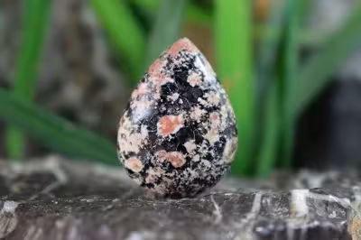 نبولا جاسپر