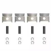 پيستون LC-1600-040 با ملحقات كامل IPMC عظام کد 3107003