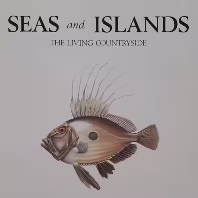 كتاب Seas and Islands اثر جمعي از نويسندگان انتشارات The Living Countryside