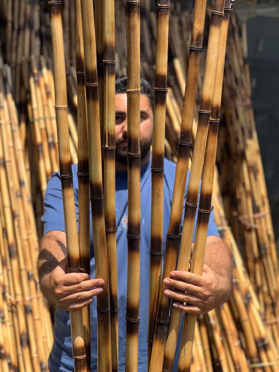 نی بامبو چوبی 5عدی(نی خیزران)