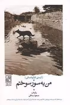 من به سور سوختم | مرکز فرهنگی آبی