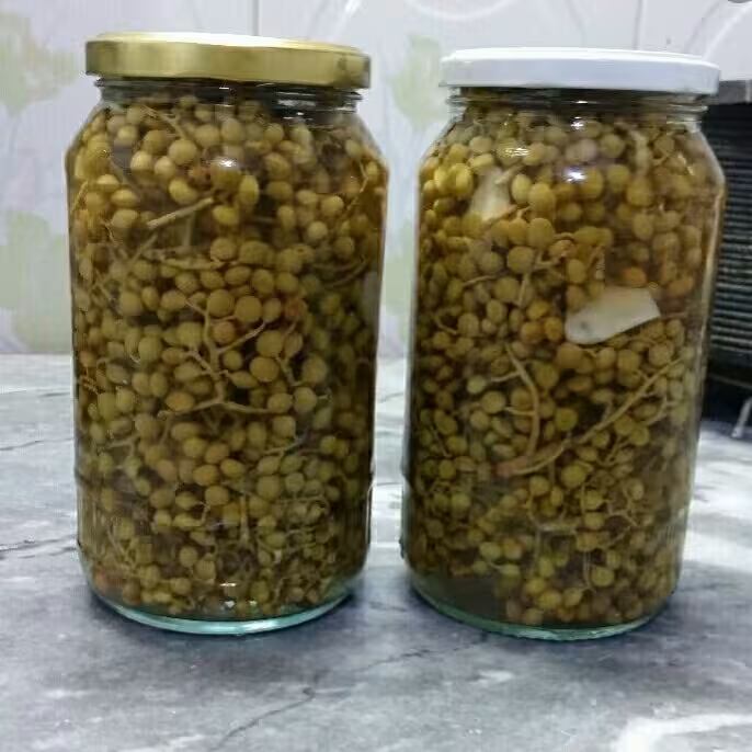 ترشی بنه (پسته وحشی)