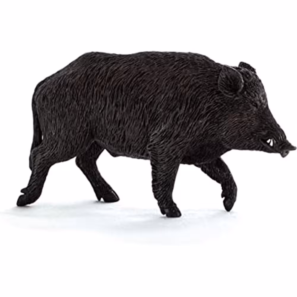 قیمت و خرید فیگور گراز وحشی Mojo Wild Boar