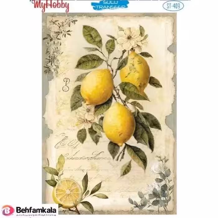 ترانسفر آبی My Hobby کد 409