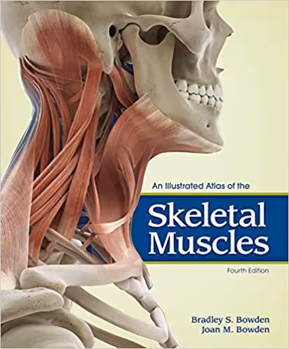 خرید و دانلود نسخه کامل کتاب An Illustrated Atlas of the Skeletal Muscles (4th Edition) - Image Pdf with Ocr