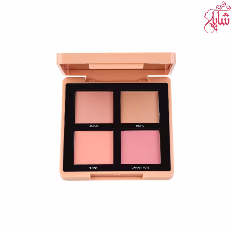 تاپ فیس-پالت رژ گونه ش001(355)