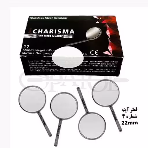 سراینه شماره 4 دوازده عددی Stainless Steel Mouth Mirror Head کاریزما Charisma