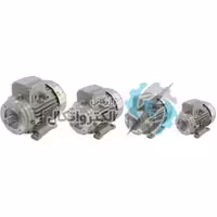 الکترو موتور الکتروژن 0.5HP