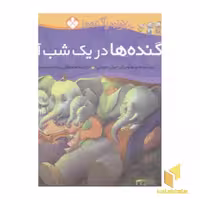 کتاب پاگنده ها در یک شب آرام (خانواده پاگنده ها) اثر جیل مورفی نشر پنجره