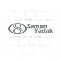 کلید شیشه بالابر 405 و پارس مدل پایین سمت شاگرد