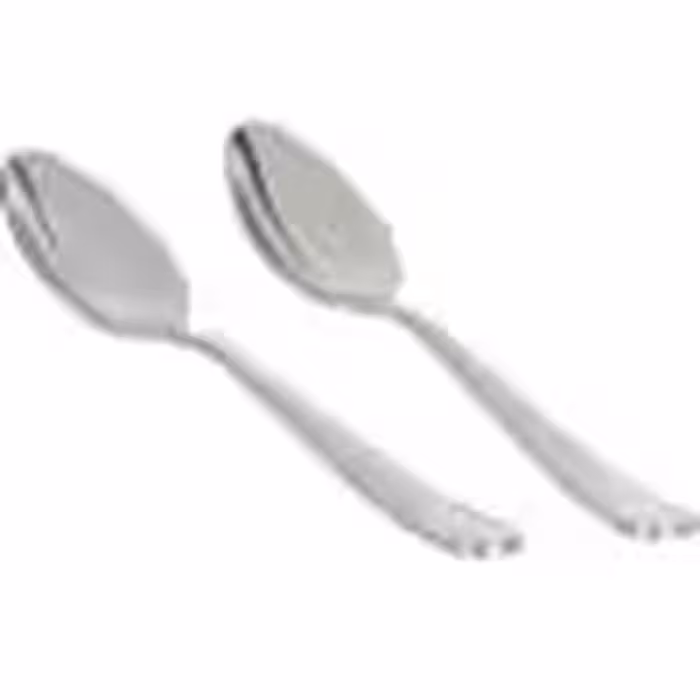 پک قاشق 2 عددی 25 سانتی رویال فورد مدل RoyalFord RF8665