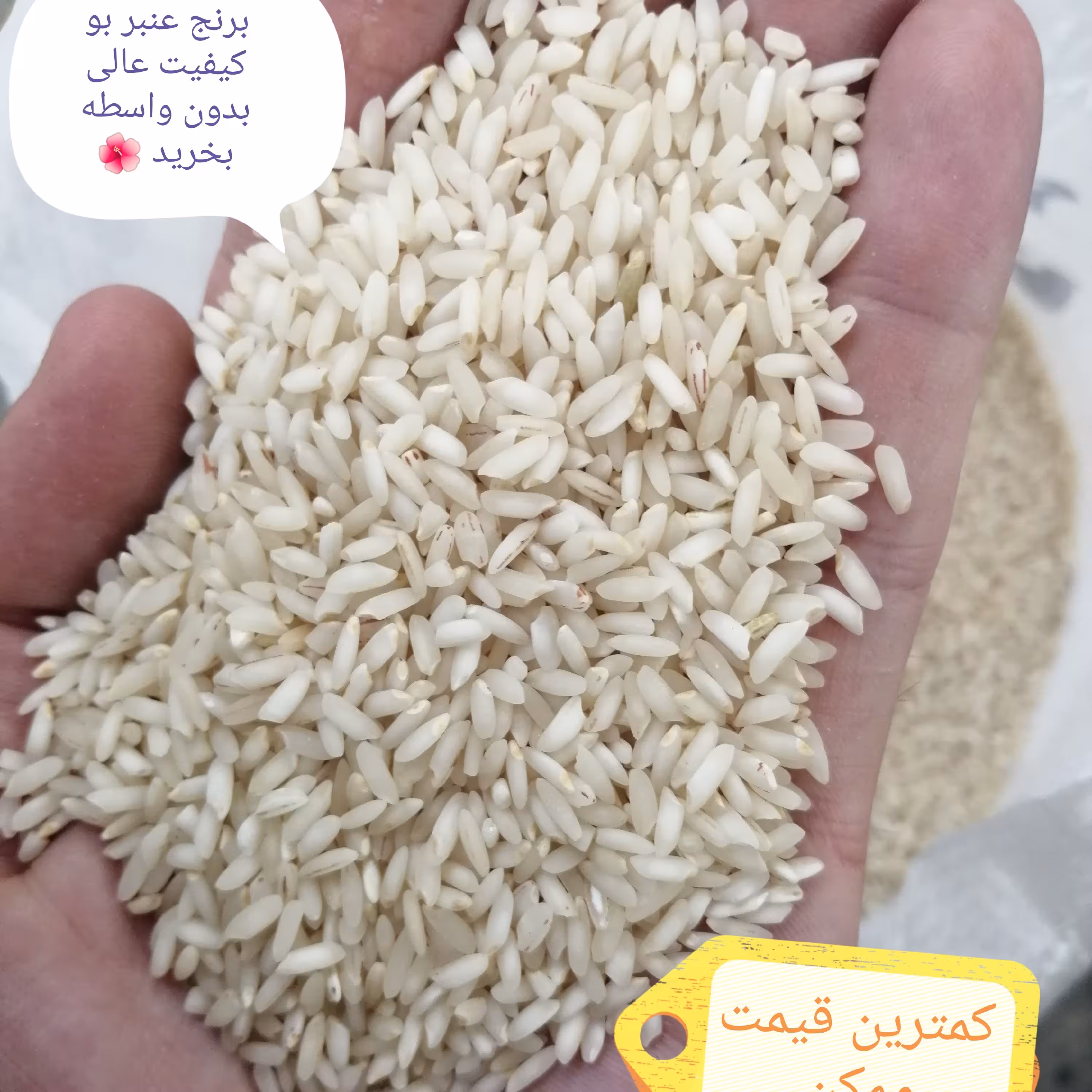 برنج عنبر بو مستقیم از کارخانه 60 کیلو (کمتر از مغازه درب منزل )