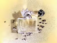 عطر ادکلن کنزو جانگل زنانه اصل | kenzo Jungle for Women EDP 100ml