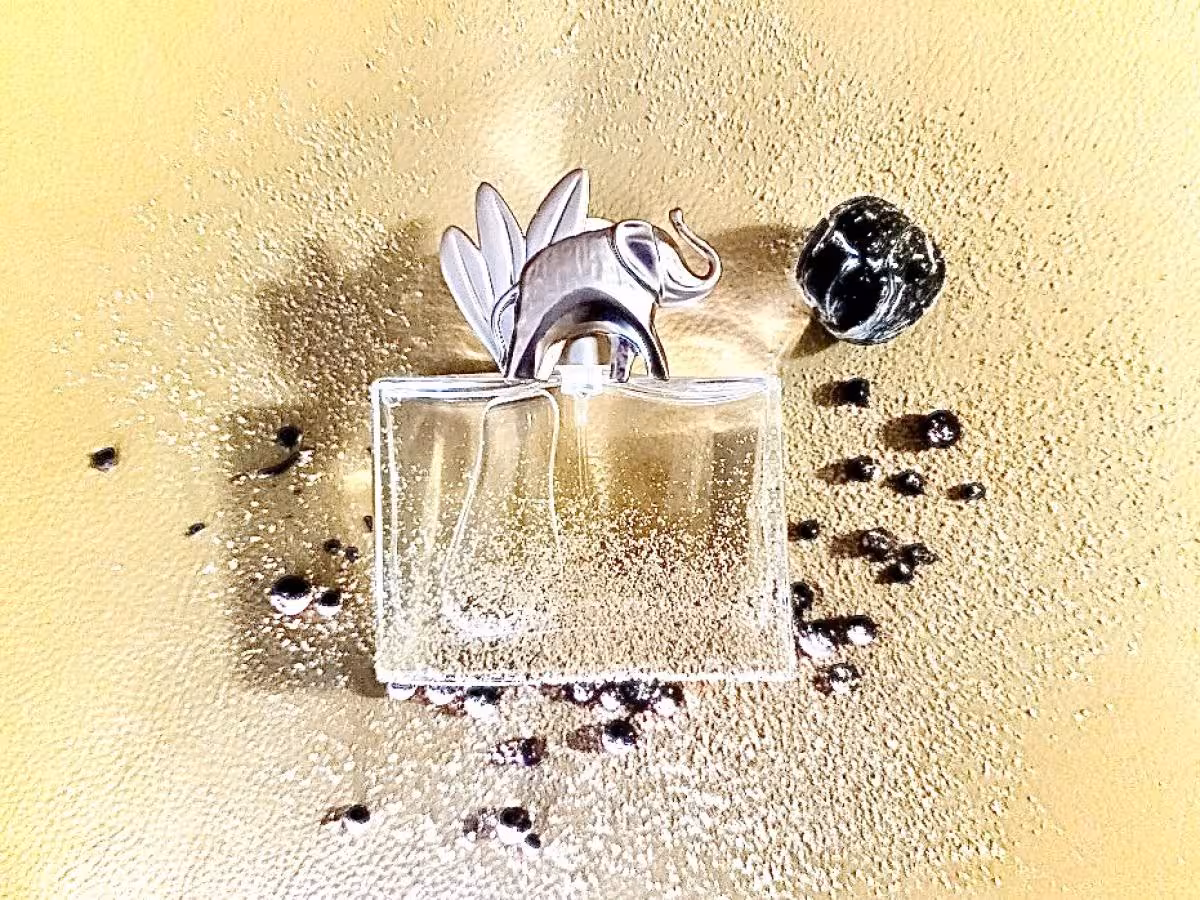 عطر ادکلن کنزو جانگل زنانه اصل | kenzo Jungle for Women EDP 100ml