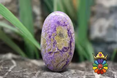 استیچ تیت (اتلانتیسیت)