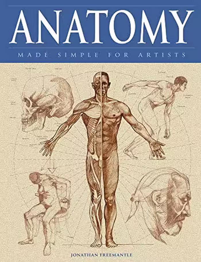 󾕇 دانلود کتاب Anatomy Made Simple For Artists, - دانلود کتاب های دانشگاهی