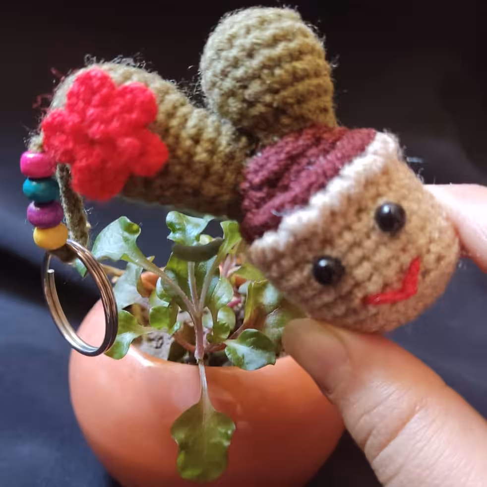 آویز یا سرکلیدی کاکتوس خندان