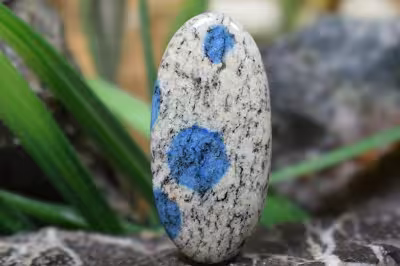 جاسپر کی تو