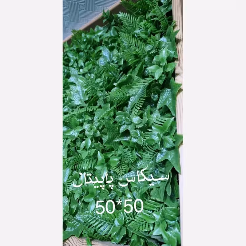 گرین وال برگ سیکاس پاپیتال ابعاد 50در50 cm (دیوار سبز/گرینوال)(پس کرایه)