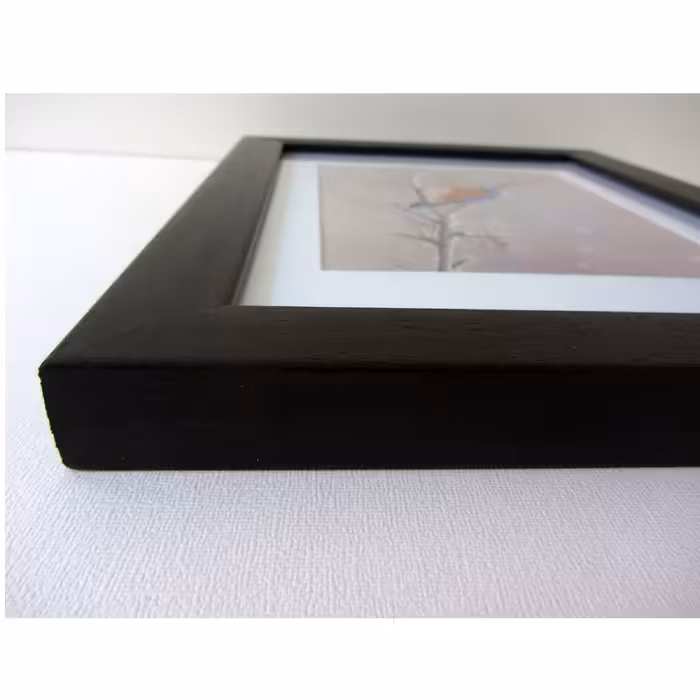 تابلوی نقاشی پاستل گچی طرح پرنده کد 0601