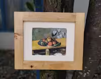 طبیعت بی جان