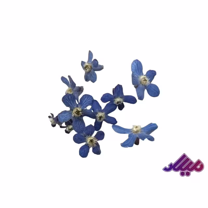 گل خشک فراموشم مکن