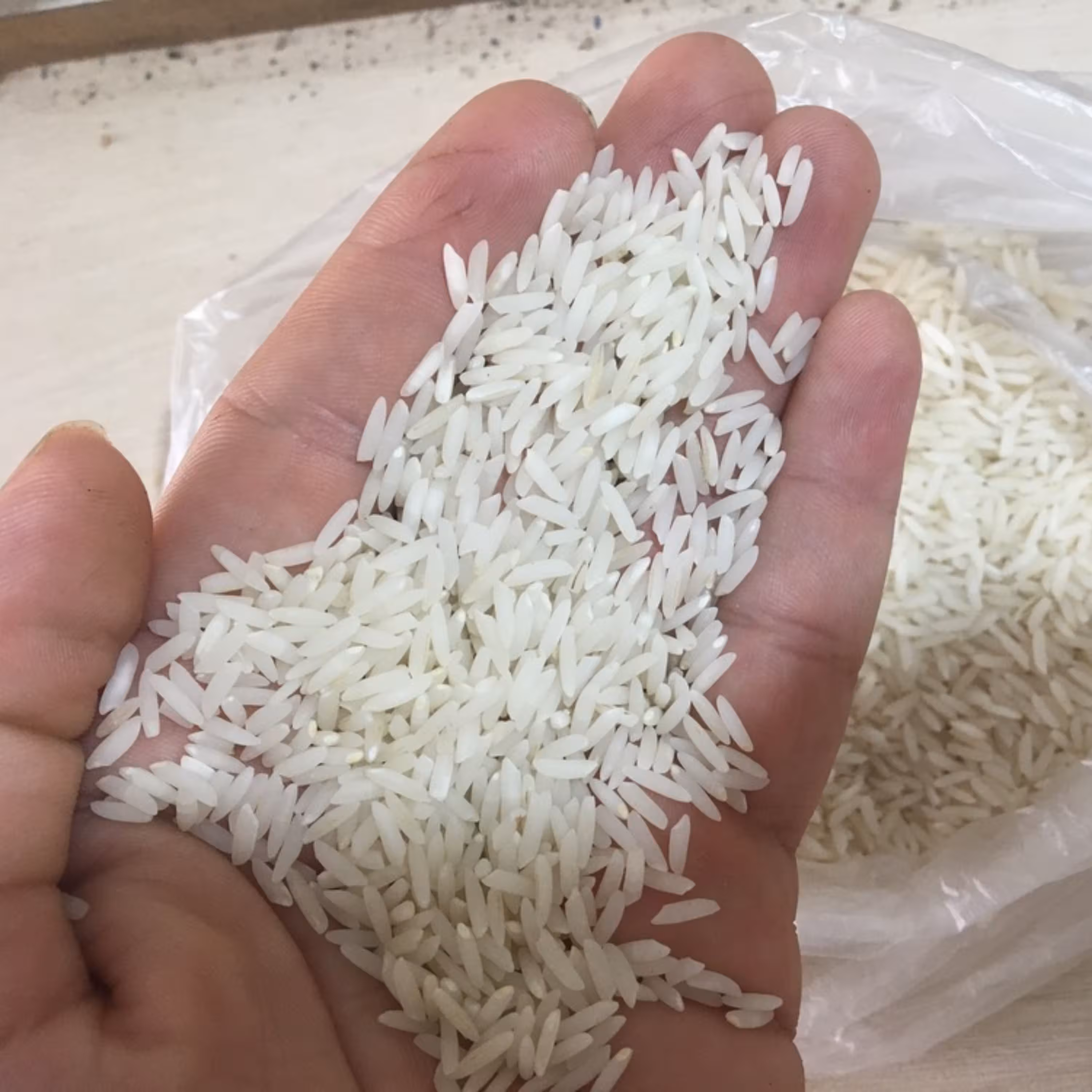برنج طارم هاشمی  سورت شده (5 کیلوگرمی)  تضمین کیفیت و خلوص برنج (ارسال رایگان)