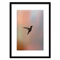 قیمت و خرید تابلو دکوراتیو مدل عکاسی مینیمال پرنده کد 0444