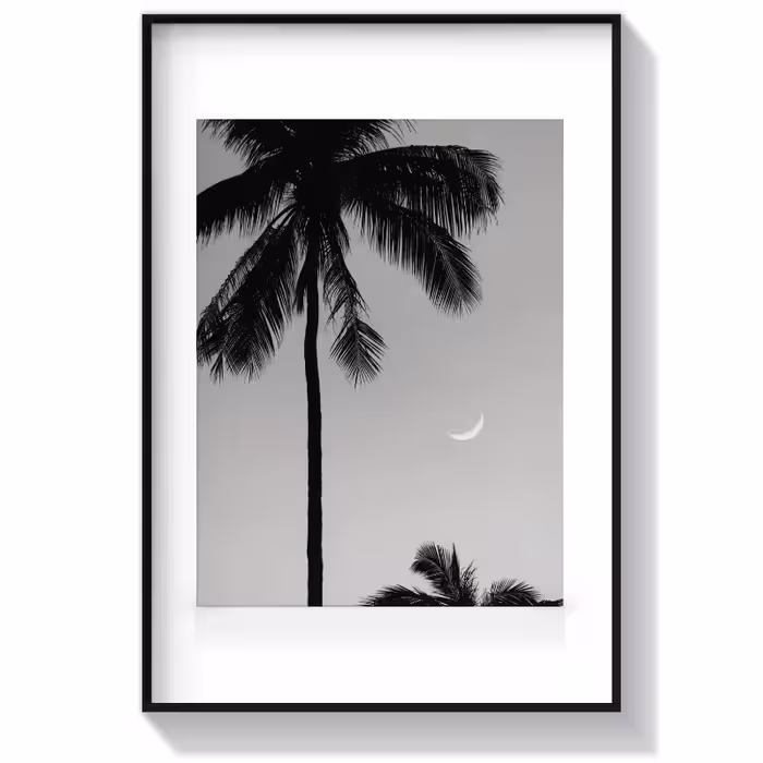 تابلو سیاه سفید طرح Moonlit Palms