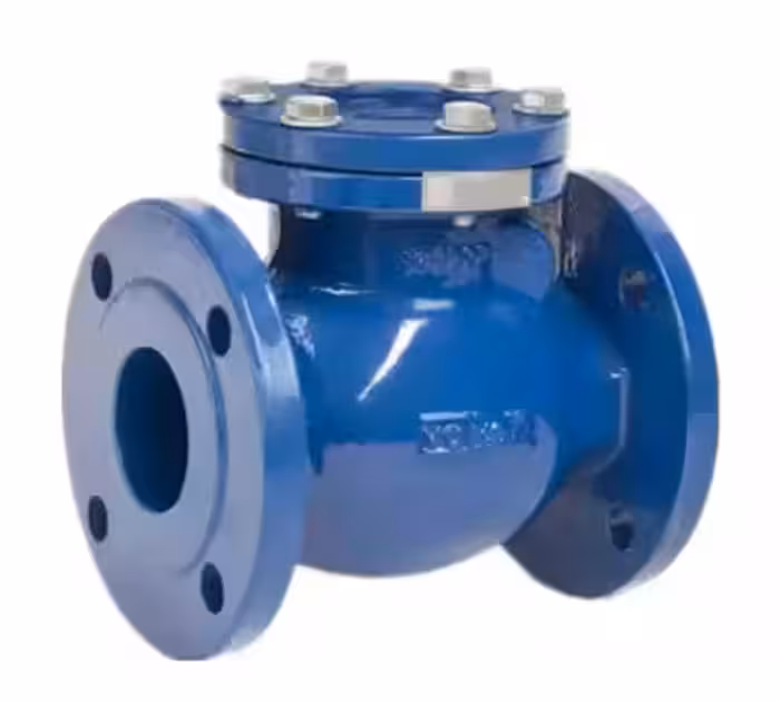 شیریکطرفه دریچه ای سایز 6 اینچ 16-GGG40/PN10شیرود