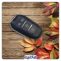 ریموت بلوتوث 315 لوکس