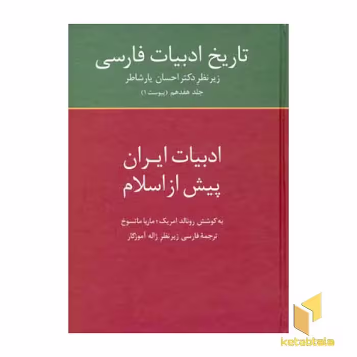 کتاب تاریخ ادبیات فارسی(17)ادبیات ایران پیش از اسلام اثر رونالد امریک - ماریاماتسوخ نشر سخن